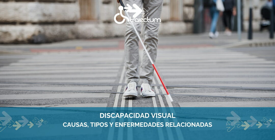 Causas, tipos de discapacidad visual y enfermedades relacionadas con la pérdida de visión