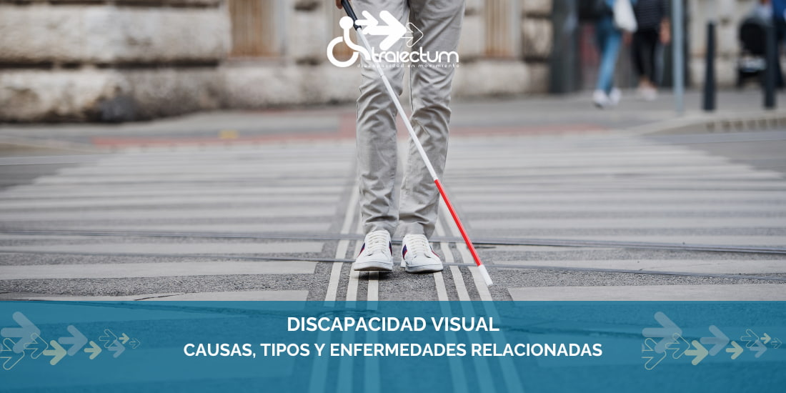 Tipos de discapacidad visual